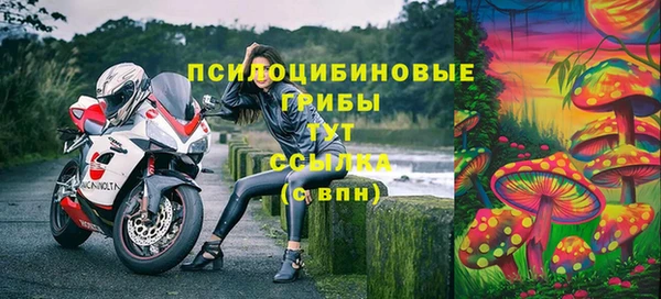 бошки Горняк