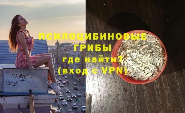 амф Дрезна