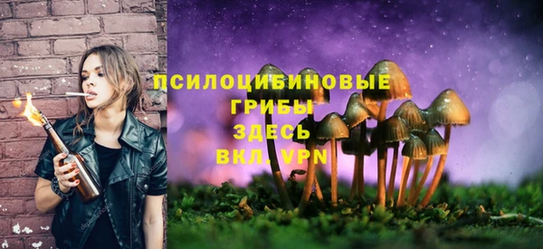 гашиш Дубна