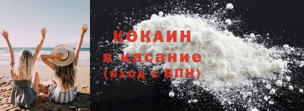 амф Дрезна