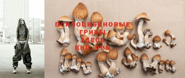 2c-b Дубовка