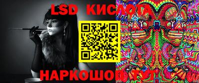 молекула духа Донской