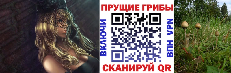 маркетплейс телеграм  купить закладку  Кимры  Галлюциногенные грибы мицелий 