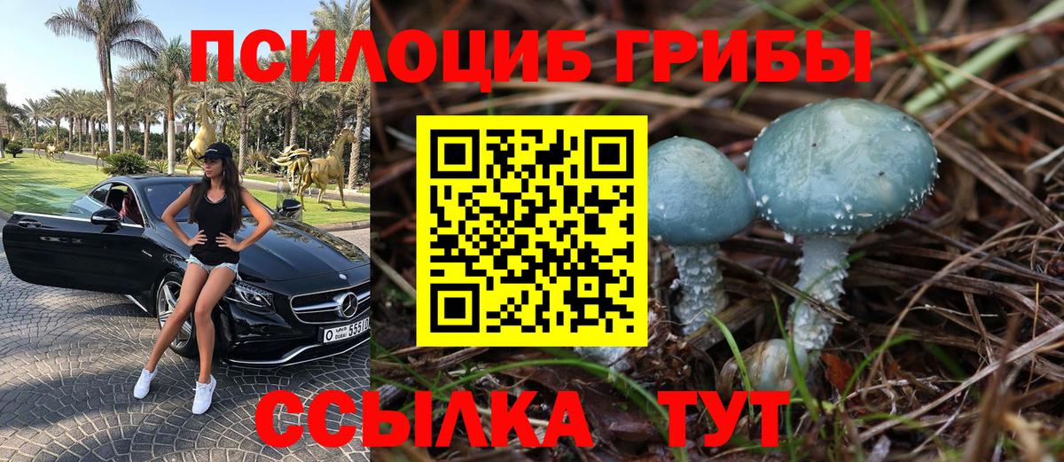 Псилоцибиновые грибы мухоморы  хочу наркоту  Кимры  Вход с VPN 